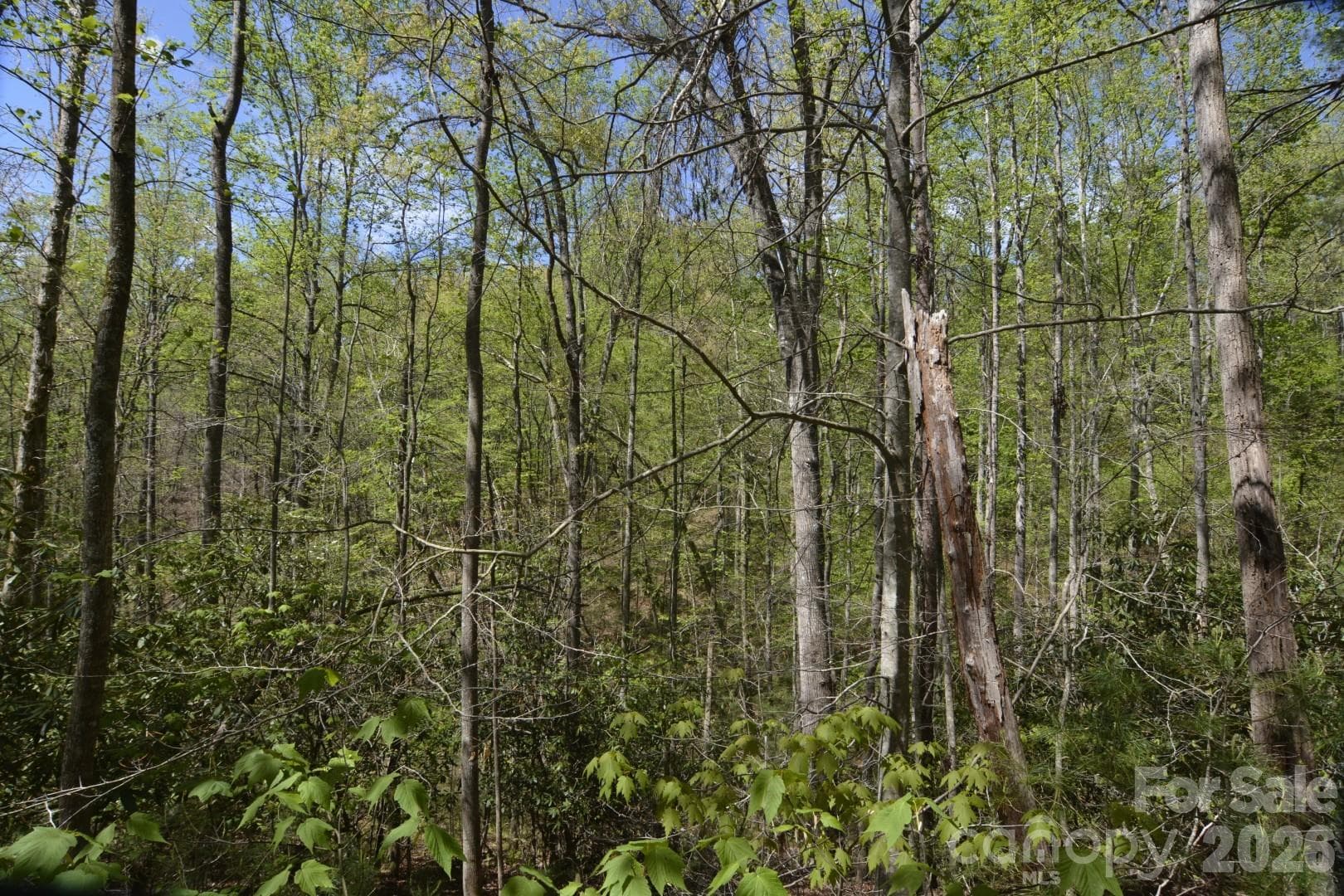 Acreage at 00 Garnet Drive, Leicester, photo 19 of 19