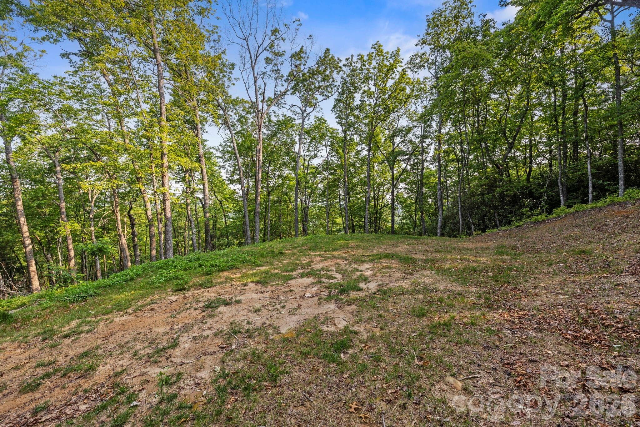 Acreage at Lake Toxaway, photo 4 of 15