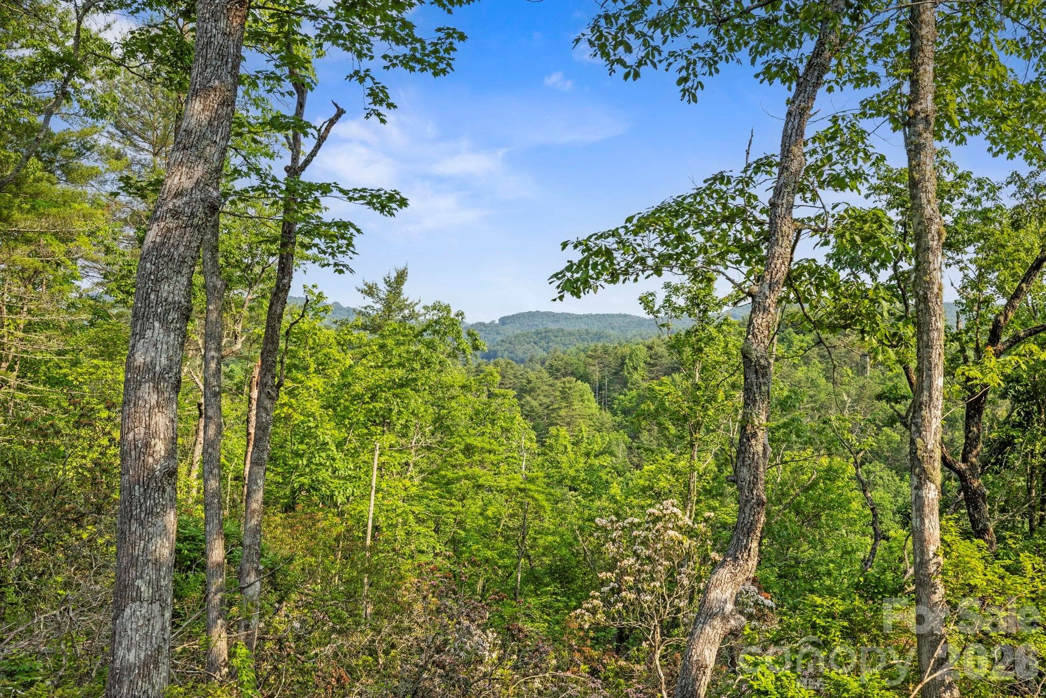 Acreage at Lake Toxaway, photo 6 of 15