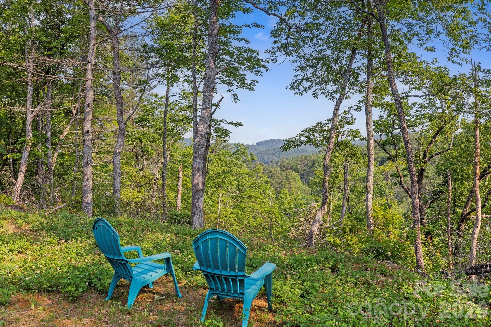 Acreage at Lake Toxaway, photo 3 of 15
