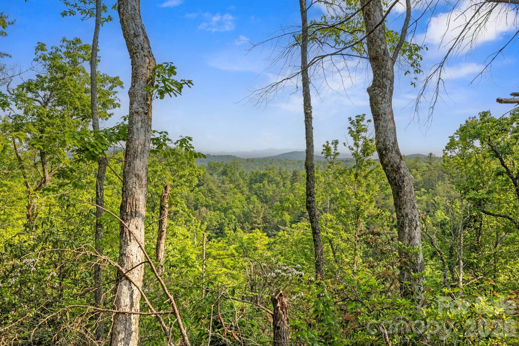 Acreage at Lake Toxaway, photo 8 of 15