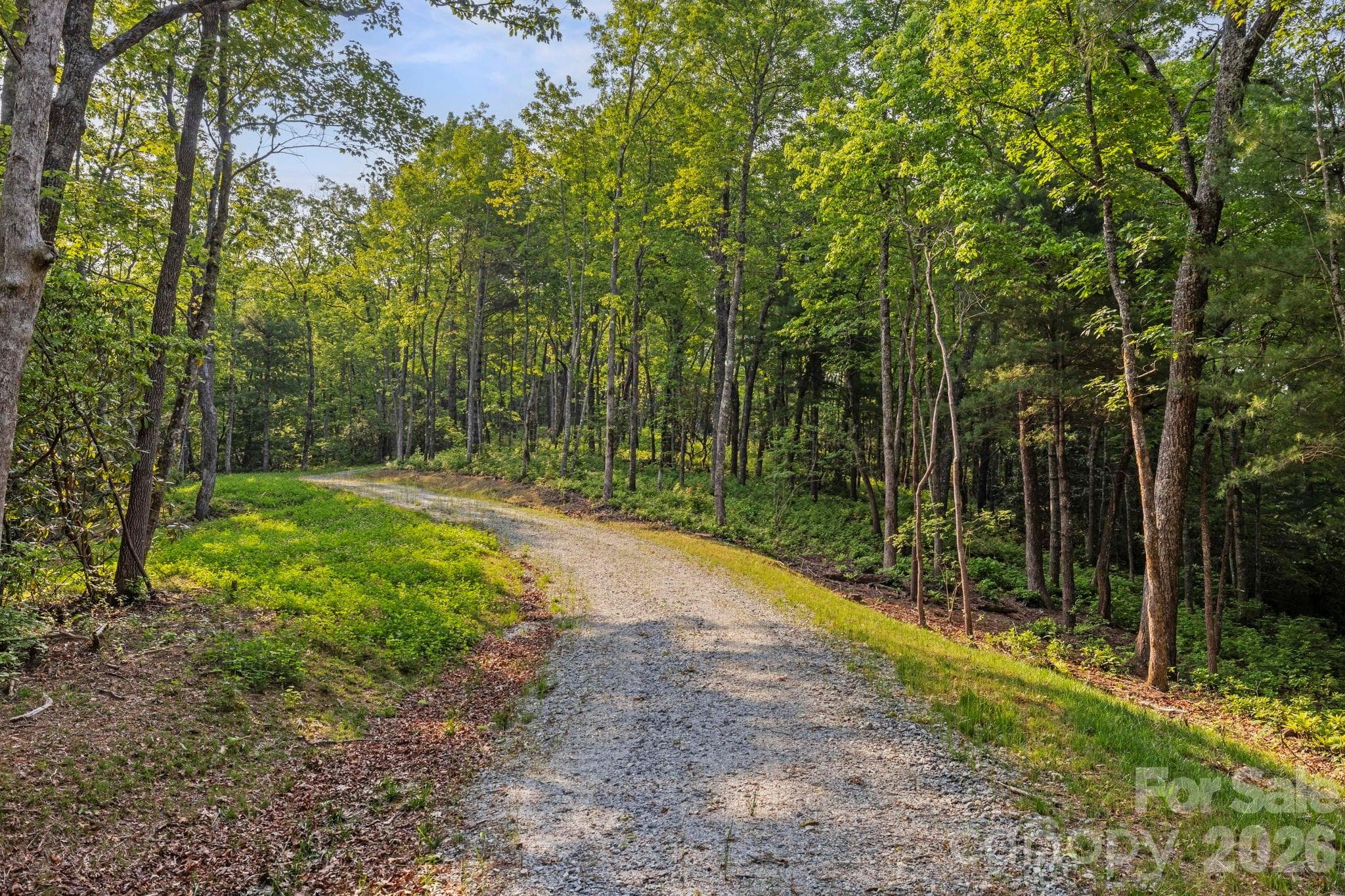 Acreage at Lake Toxaway, photo 9 of 15