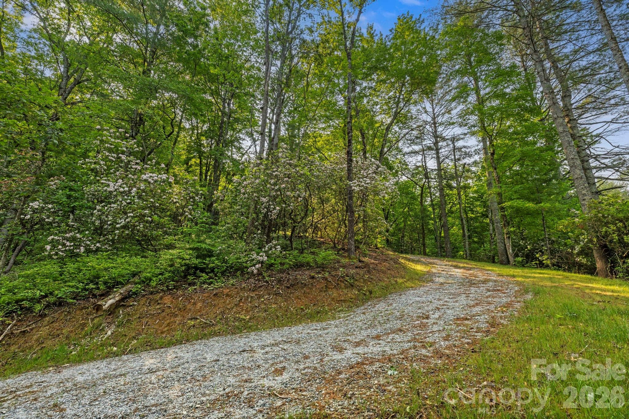 Acreage at Lake Toxaway, photo 11 of 15