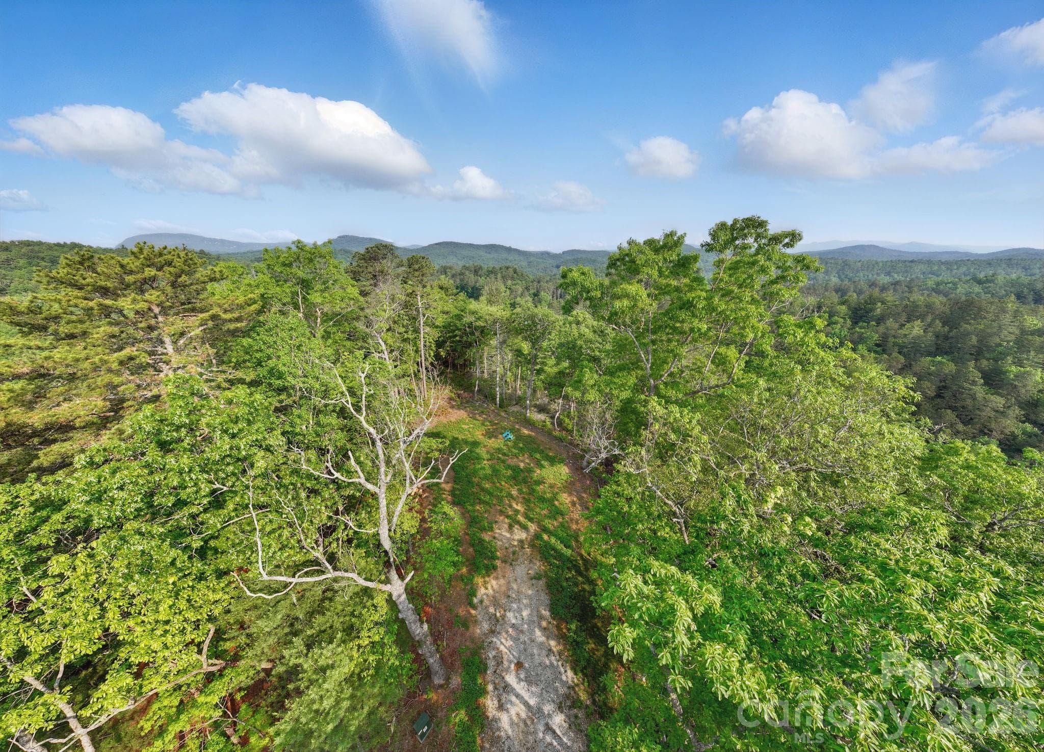 Acreage at Lake Toxaway, photo 14 of 15
