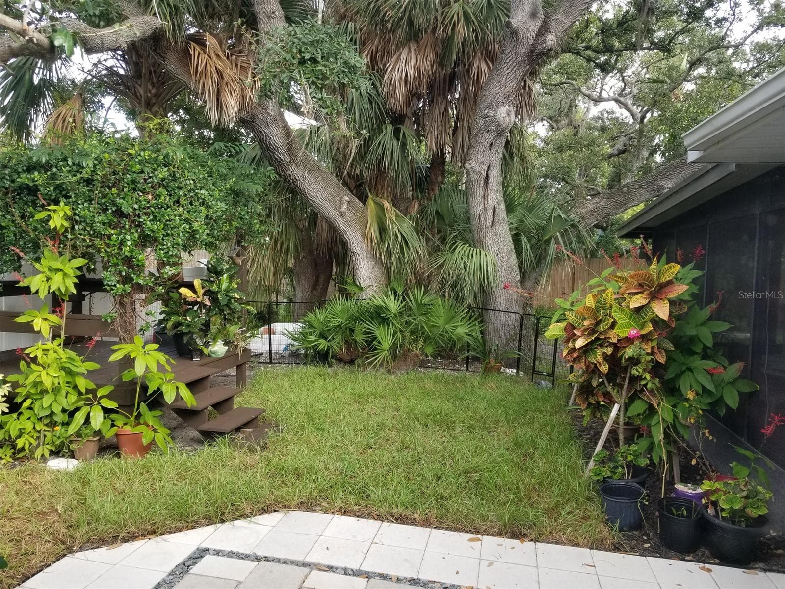 VIEW OF THE WEST SIDE OF THE BACK YARD ALONG WITH THE HERITAGE OAK TREES - 1720 FOSSIL DR, ENGLEWOOD