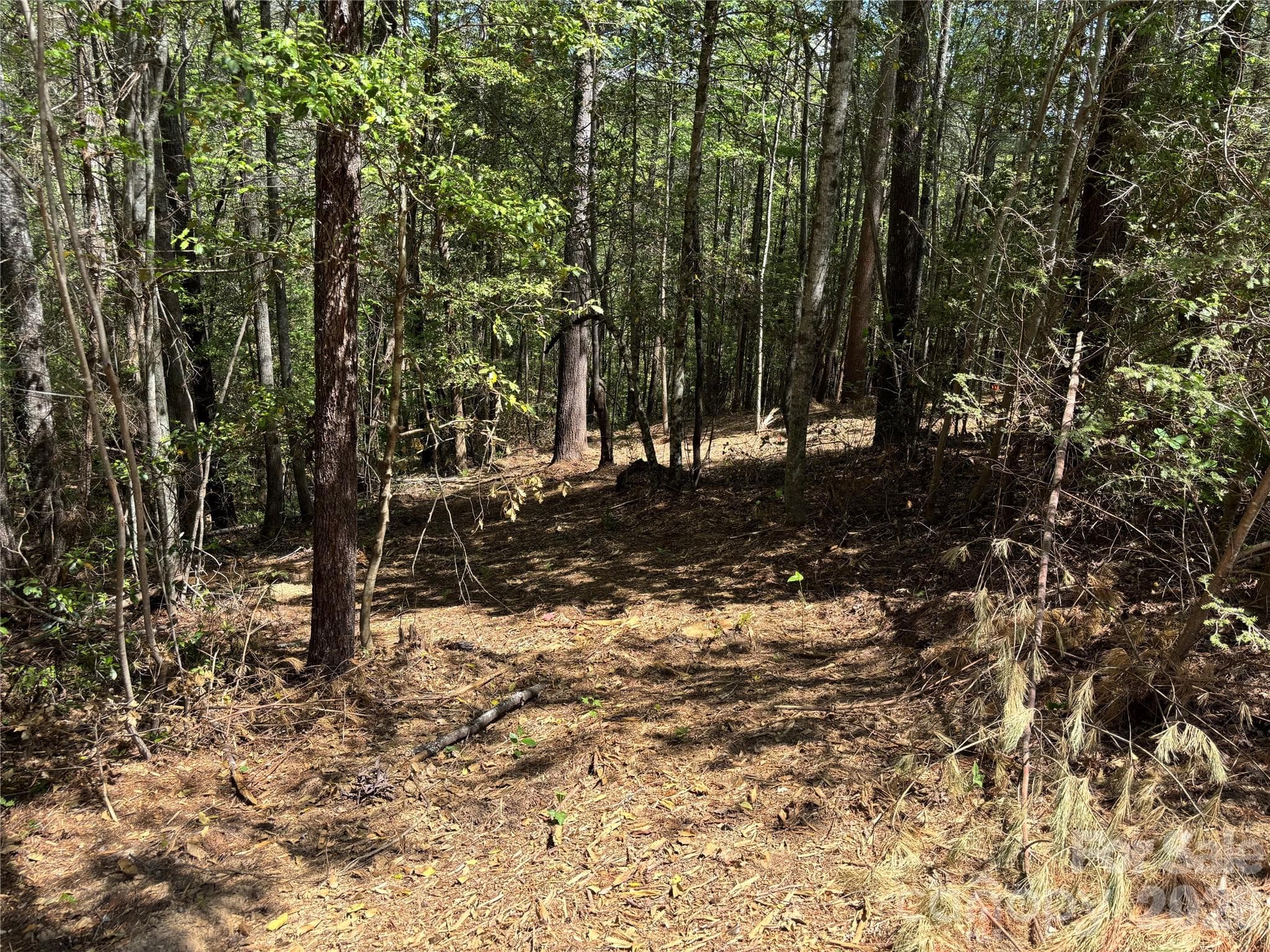 Lot at Lenoir, photo 2 of 22