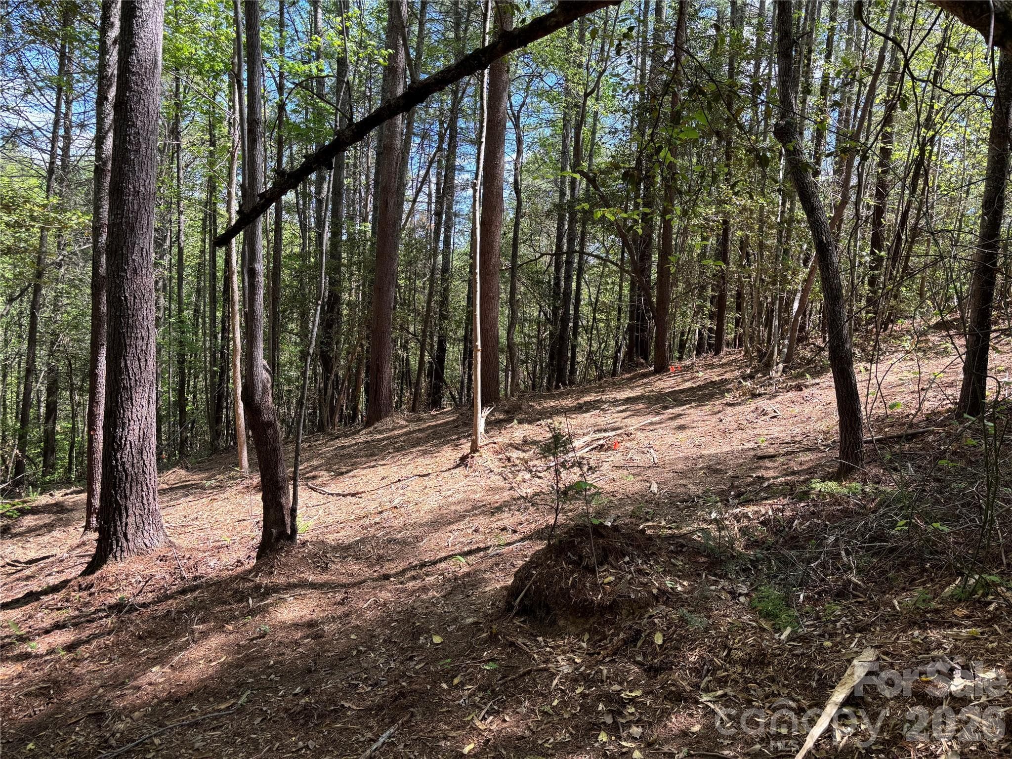 Lot at Lenoir, photo 3 of 22