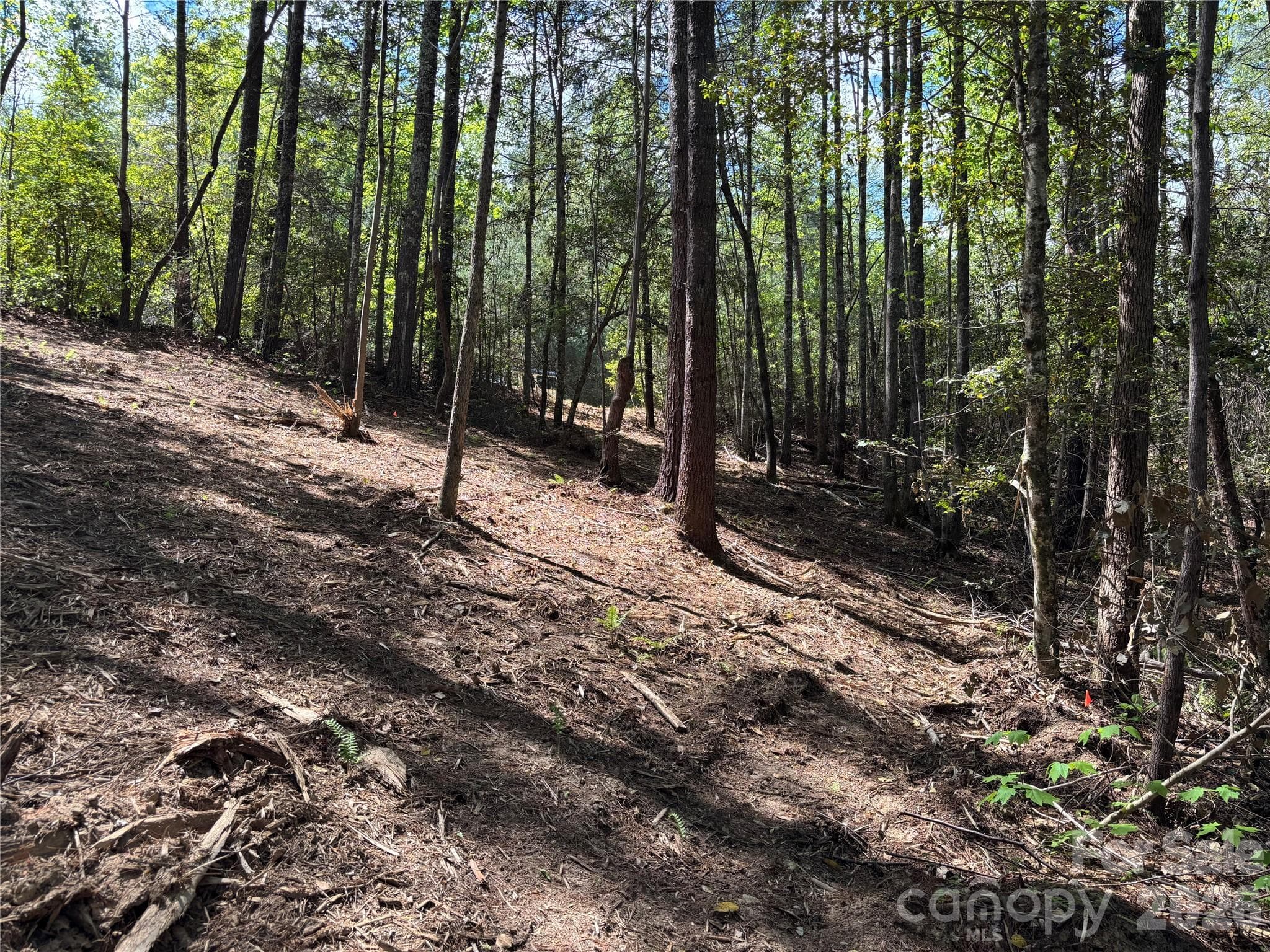 Lot at Lenoir, photo 4 of 22