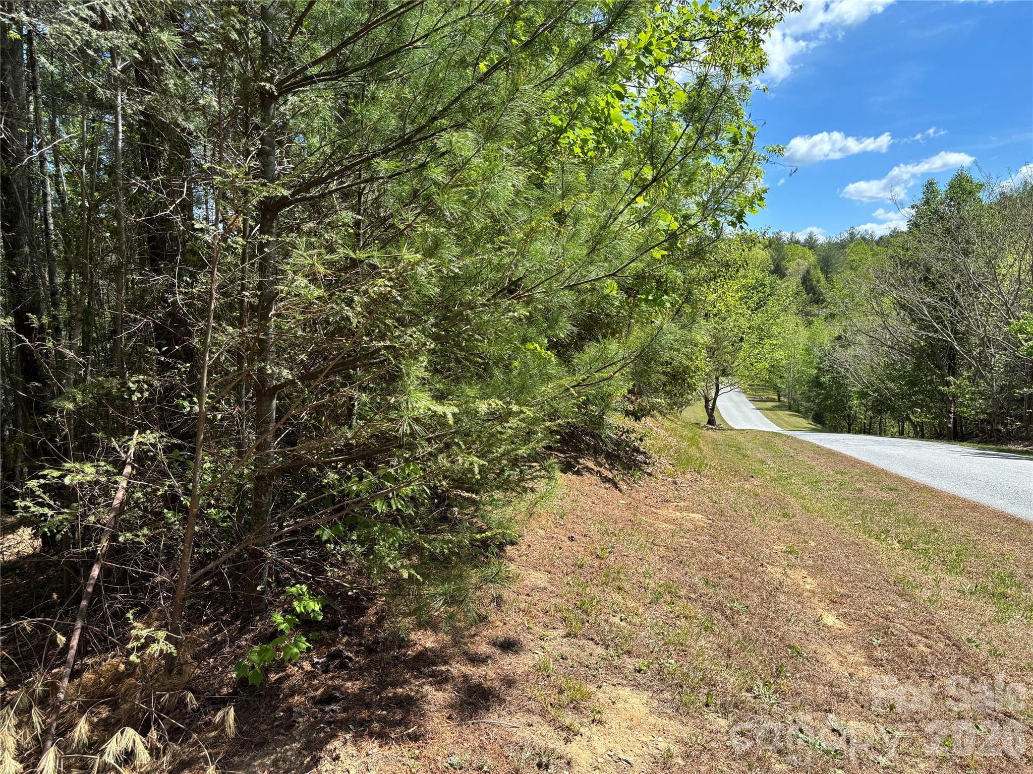 Lot at Lenoir, photo 5 of 22