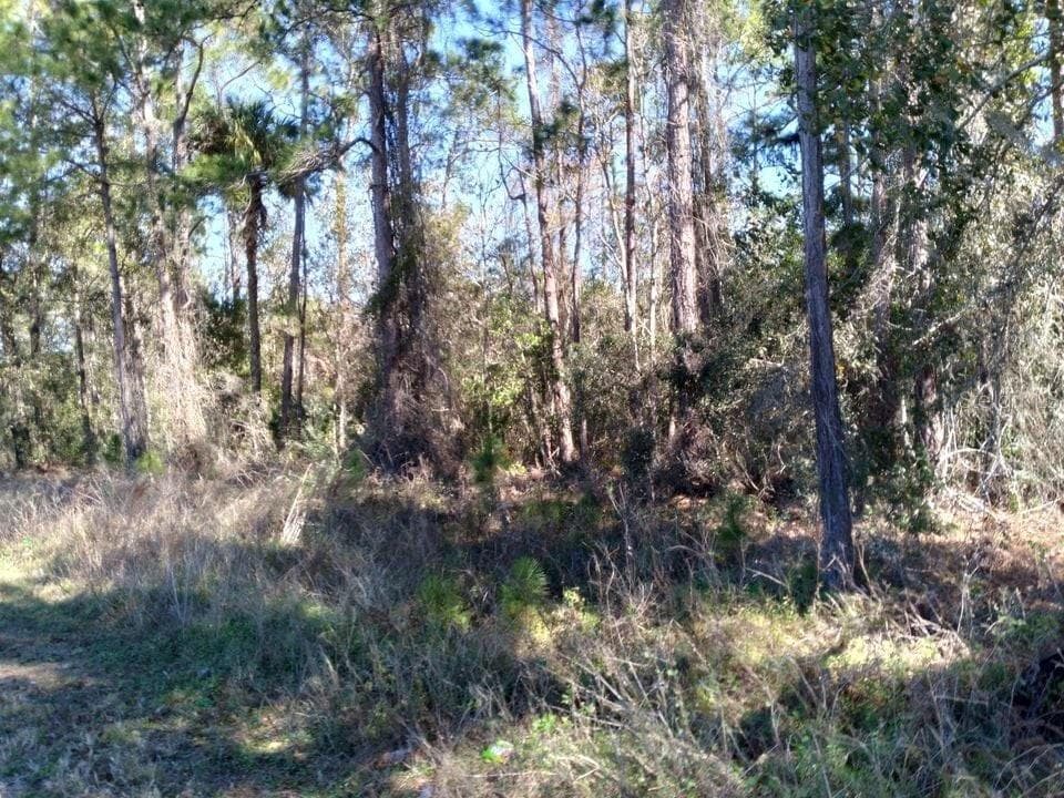 Land at POYNER RD, POLK CITY, photo 2 of 3