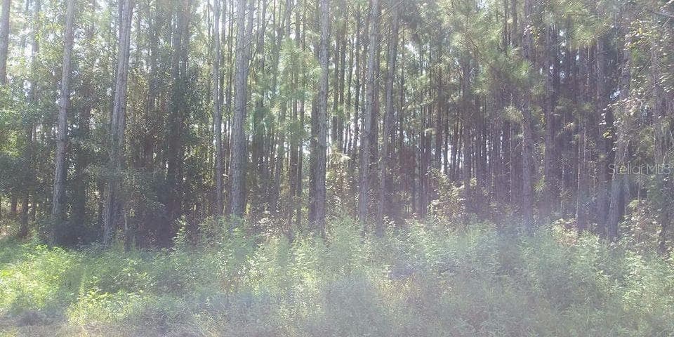 Land at POYNER RD, POLK CITY, photo 3 of 3