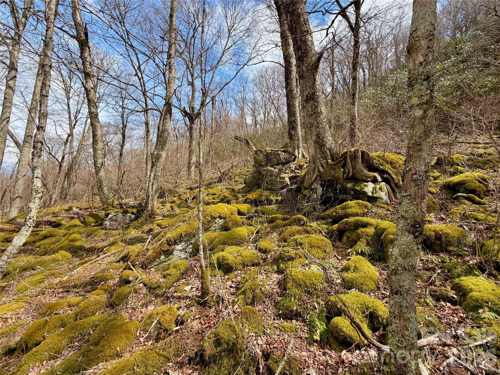 Lot at TBD Grouse Moor Drive, Sugar Mountain, photo 9 of 12