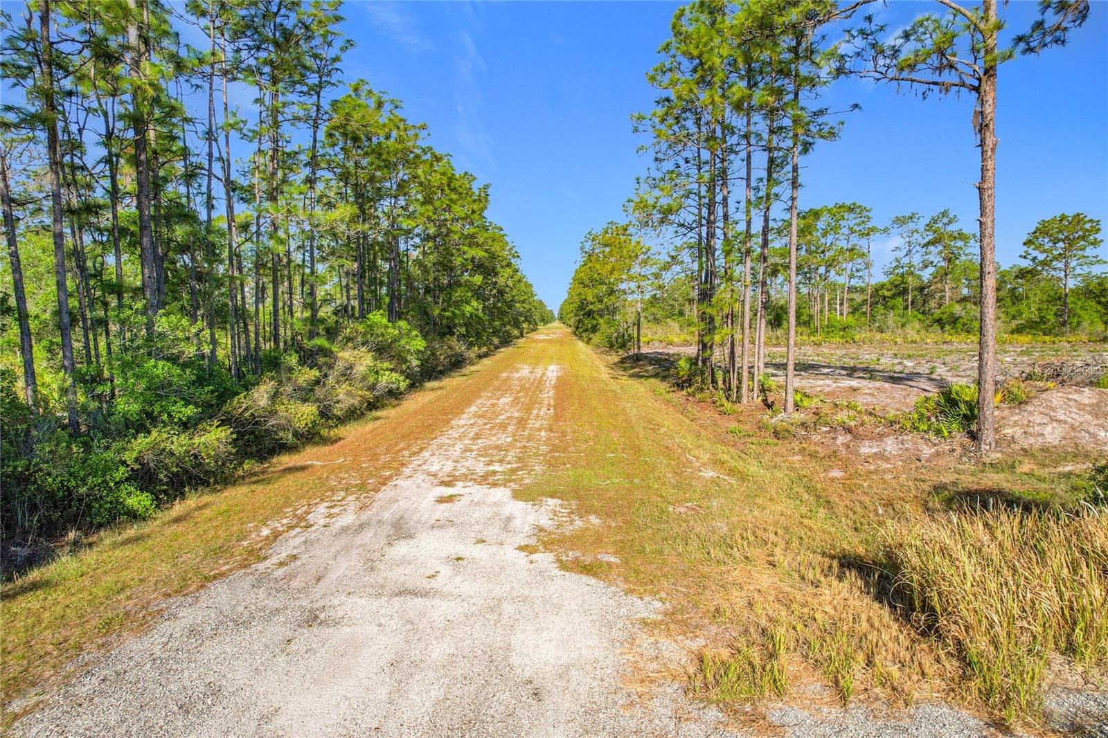 Land at 108 EL DORADO DR, INDIAN LAKE ESTATES, photo 20 of 32