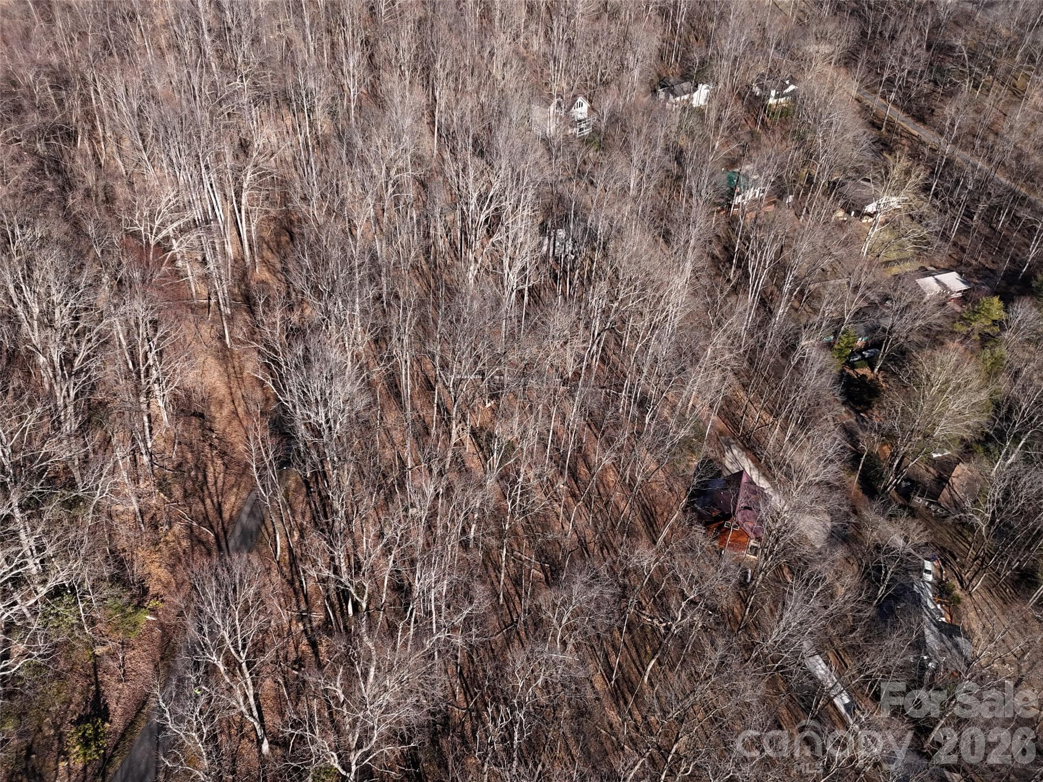 Lot at Maggie Valley, photo 7 of 19