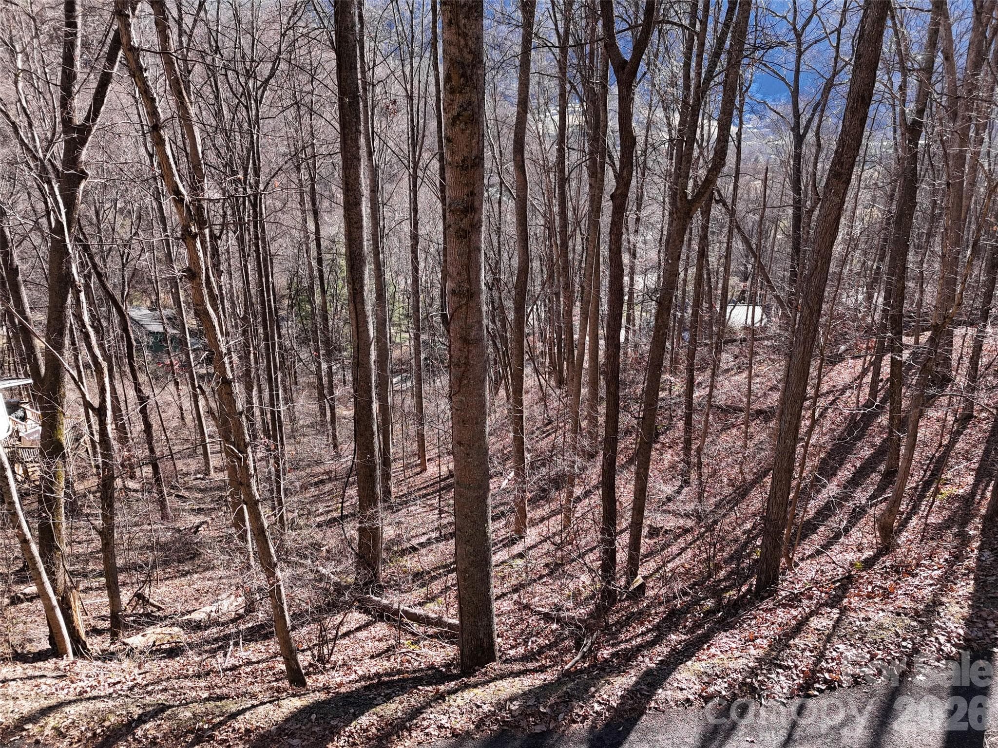 Lot at Maggie Valley, photo 9 of 19