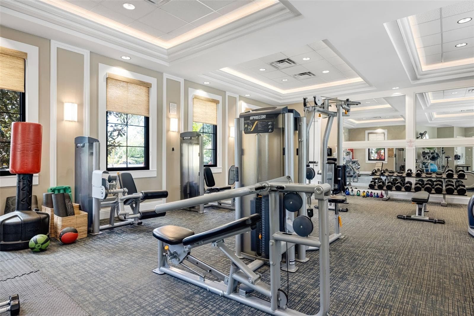 Gym - 5526 GAVELLA CV, PALMETTO