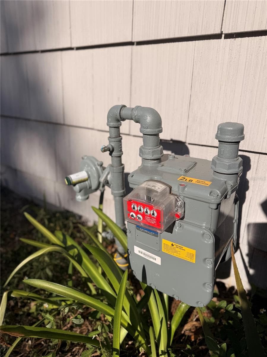 Gas meter present outside - 519 NORFOLK ST, DUNEDIN