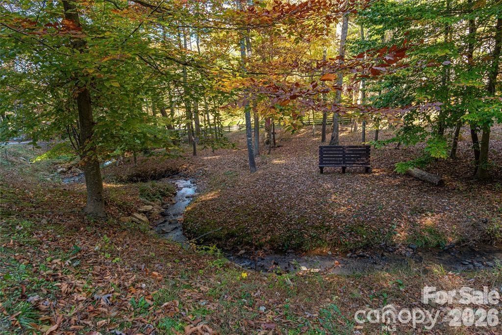 Lot at Asheville, photo 6 of 33