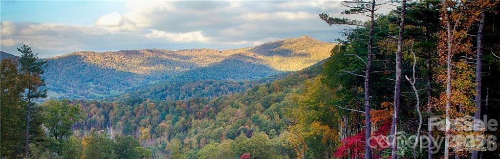 Lot at Asheville, photo 7 of 33