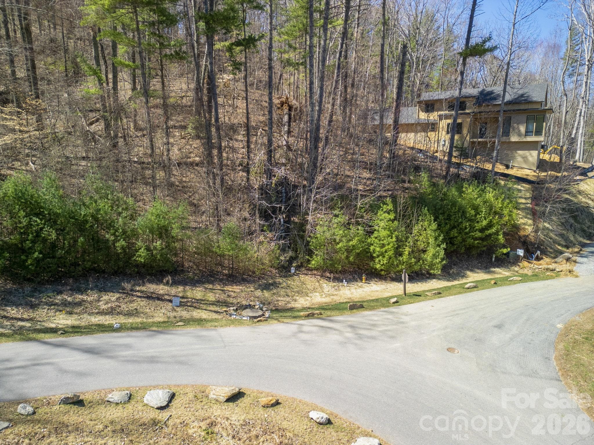 Lot at Asheville, photo 10 of 39