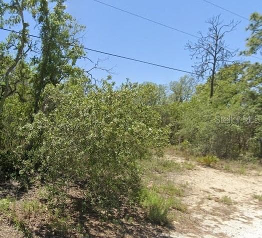 Land at 5276 W WINTER SUN LN, HOMOSASSA, photo 3 of 3