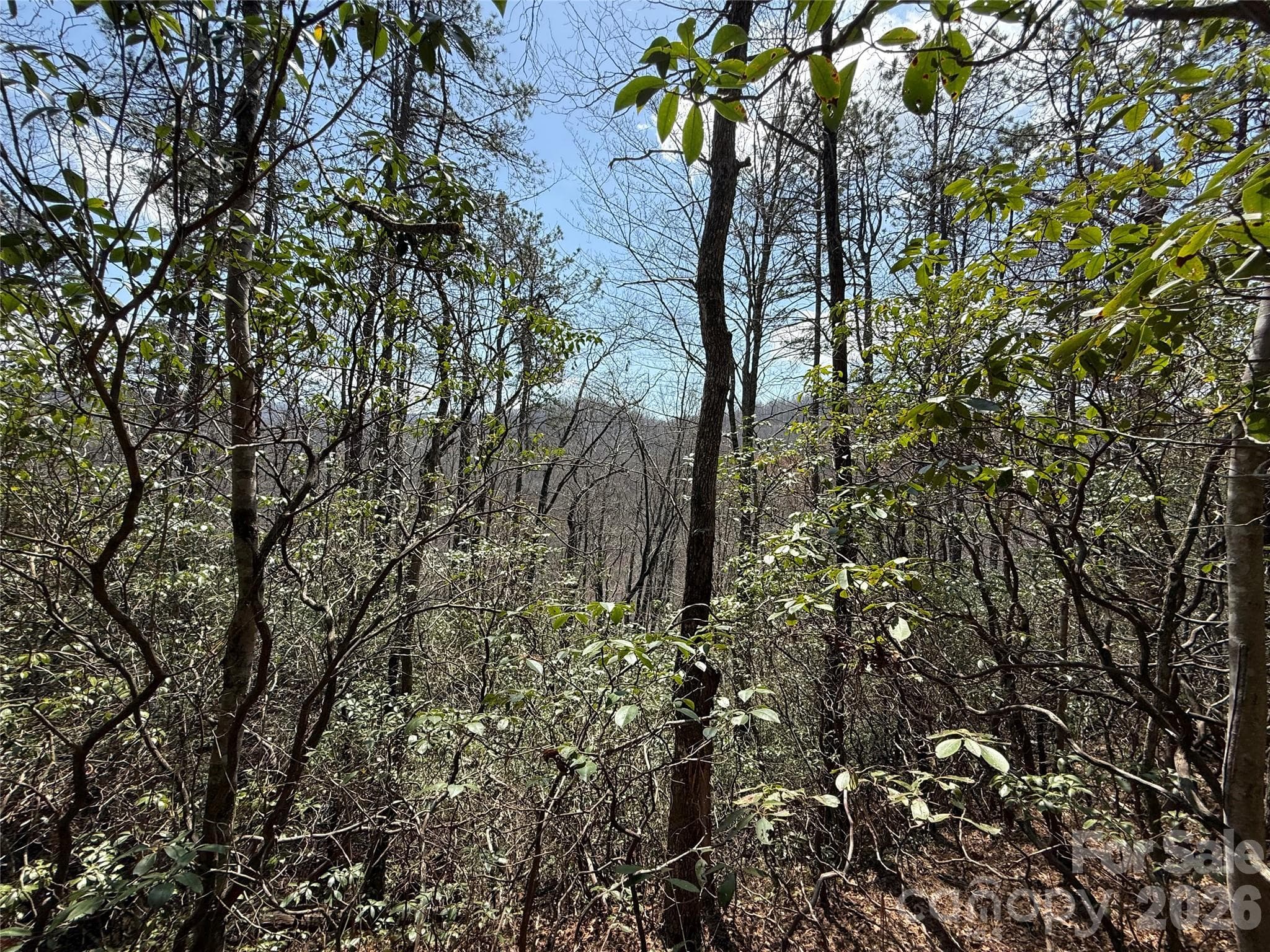 00 Line Runner Ridge Road