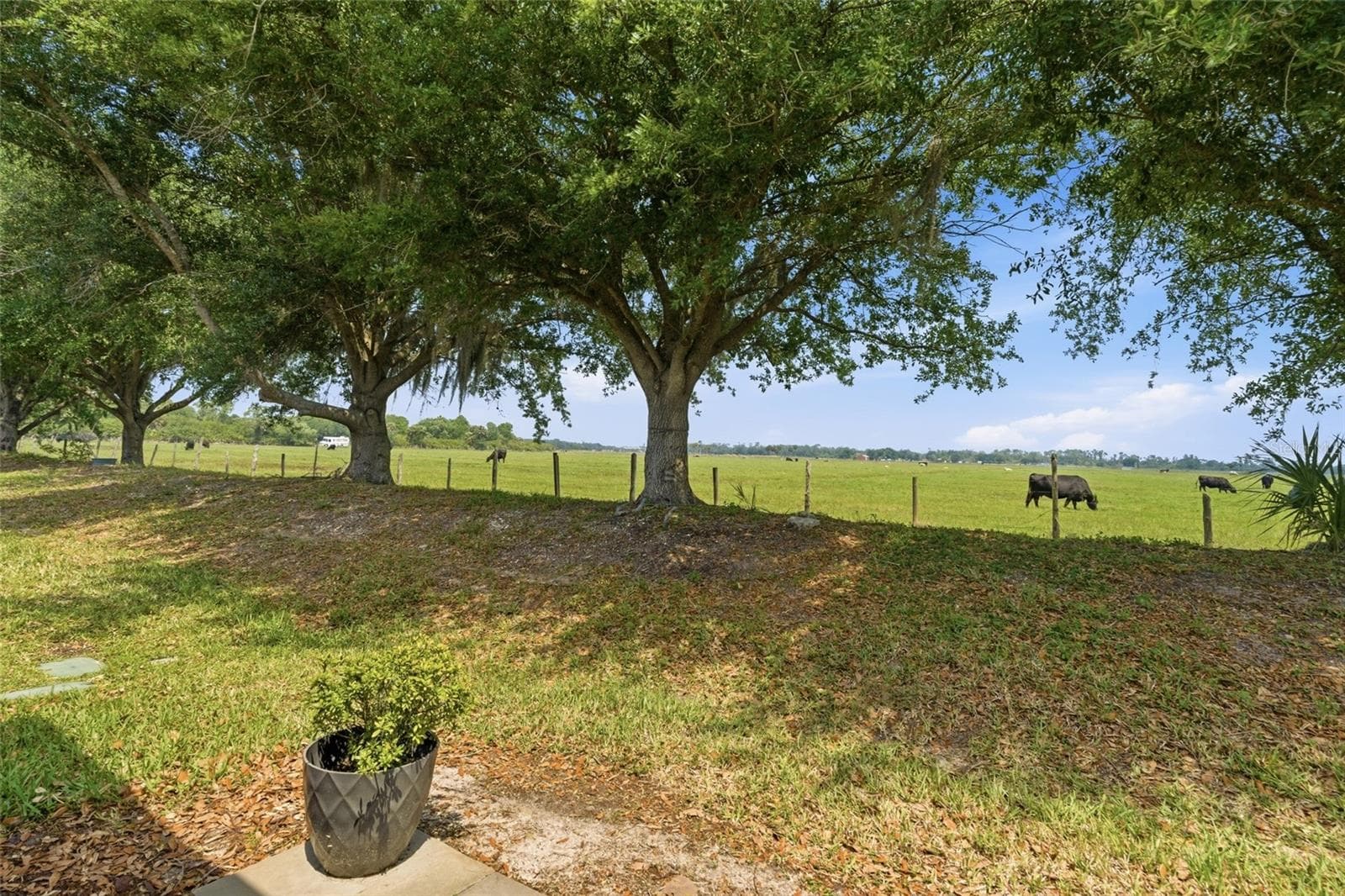 Pasture behind villa - 8834 TUSCANY ISLES DR, PUNTA GORDA