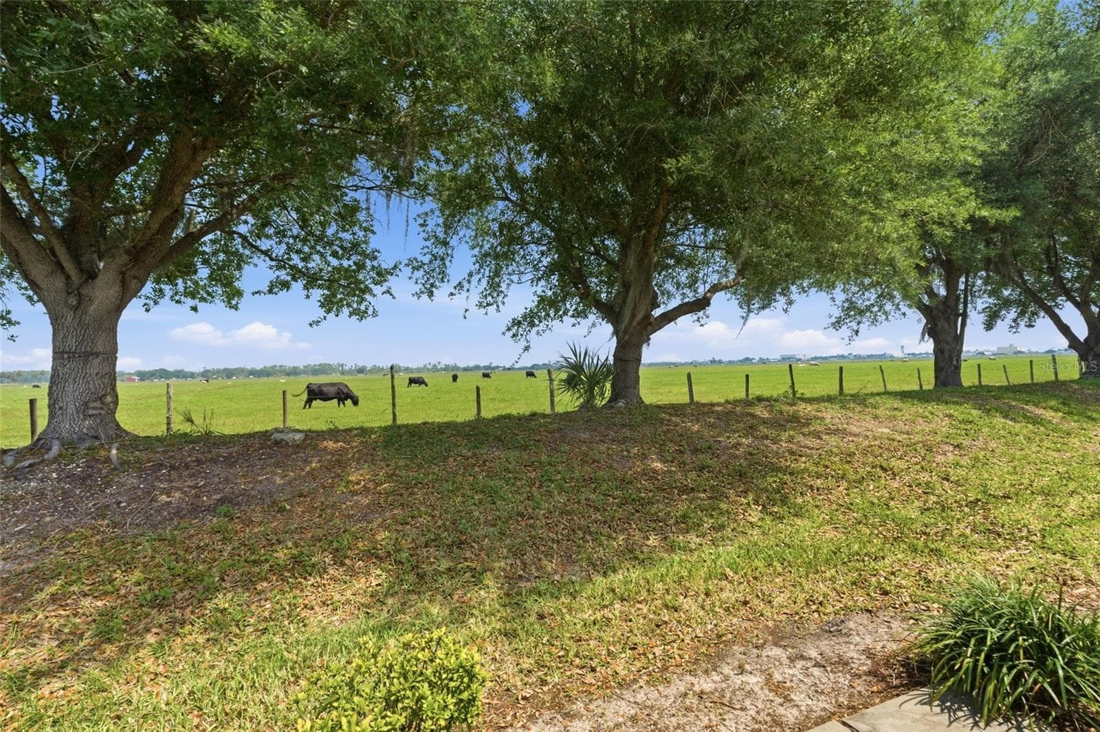 Pasture behind villa - 8834 TUSCANY ISLES DR, PUNTA GORDA