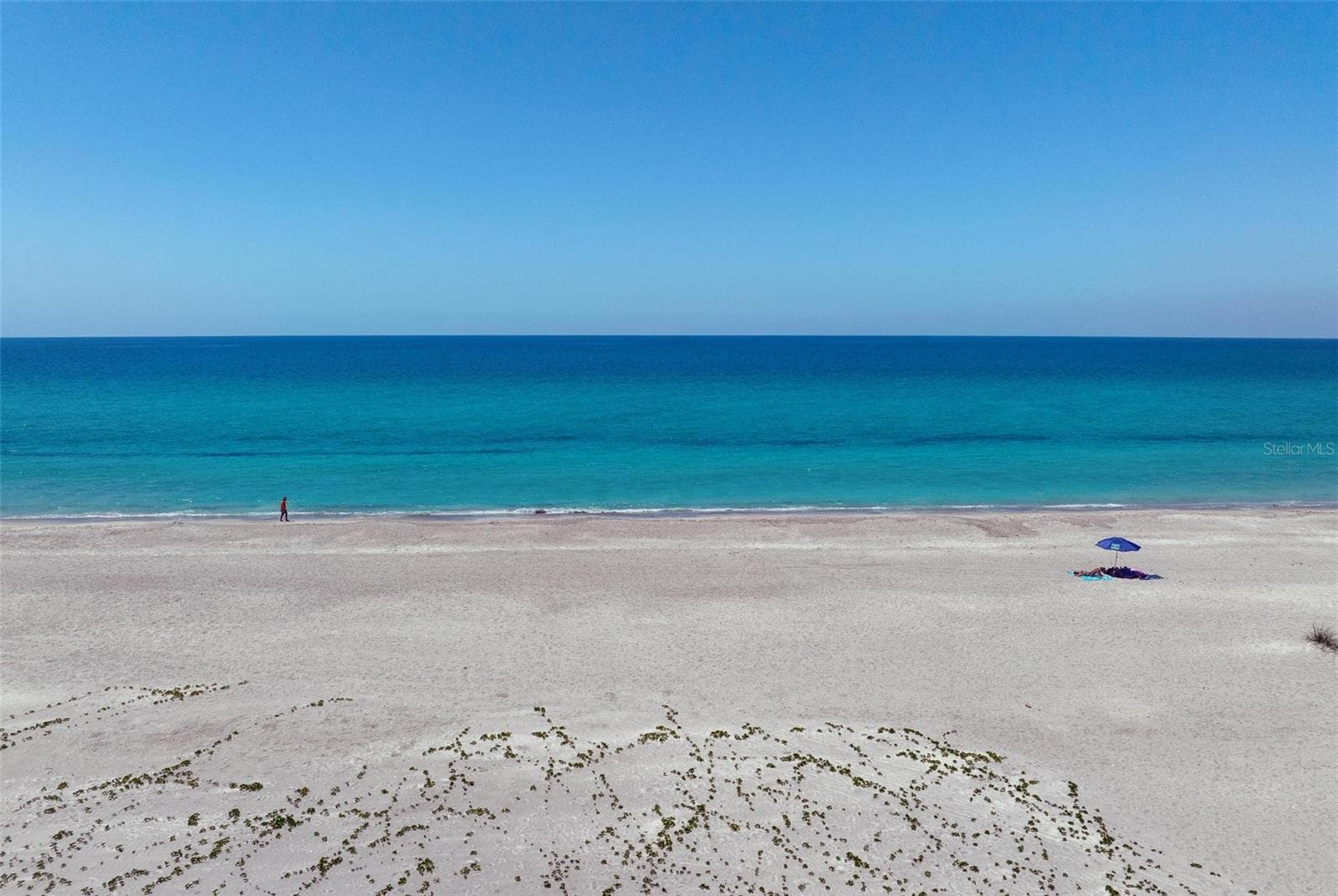 Let's go for a swim!! - 581 ROUNTREE DR, LONGBOAT KEY