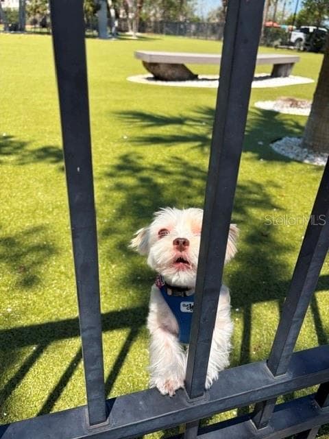 Bayfront Park Dog Park section for small dogs - 581 ROUNTREE DR, LONGBOAT KEY