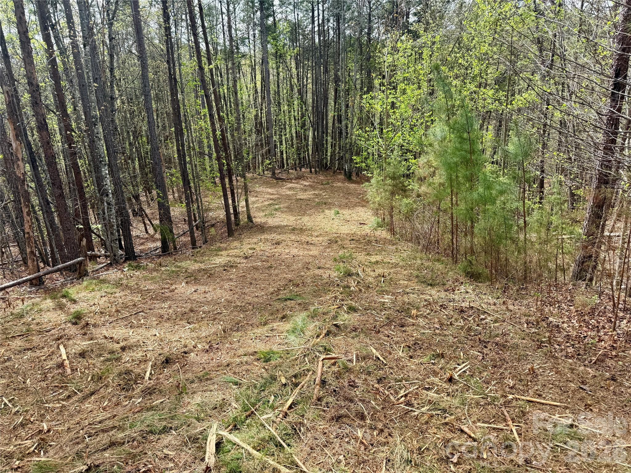 Lot at Nebo, photo 2 of 28