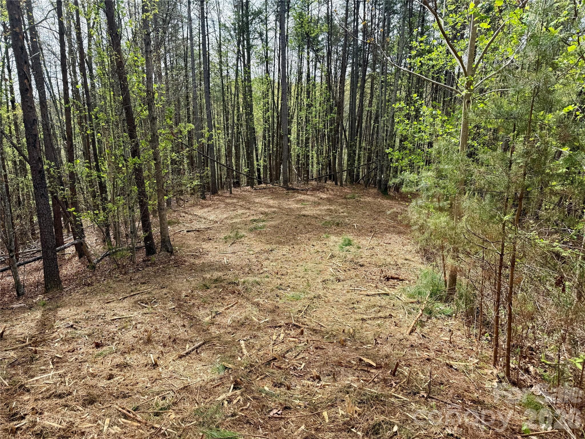 Lot at Nebo, photo 3 of 28