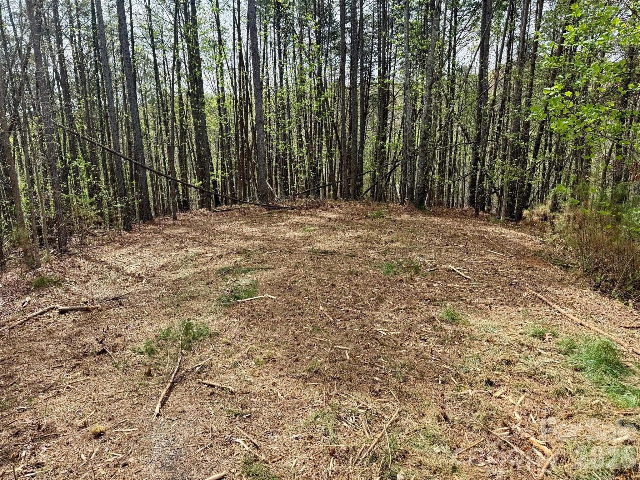 Lot at Nebo, photo 4 of 28