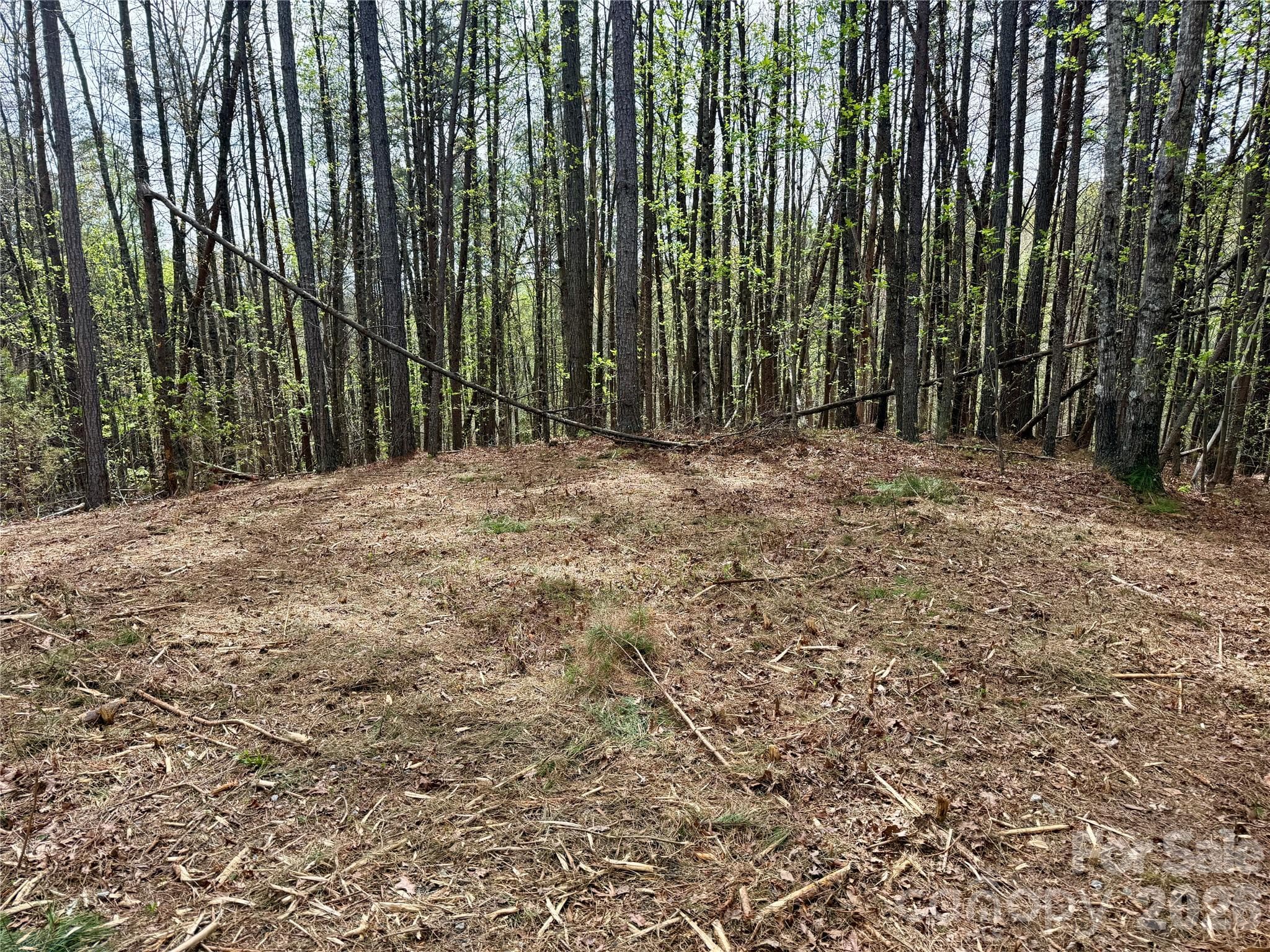 Lot at Nebo, photo 5 of 28