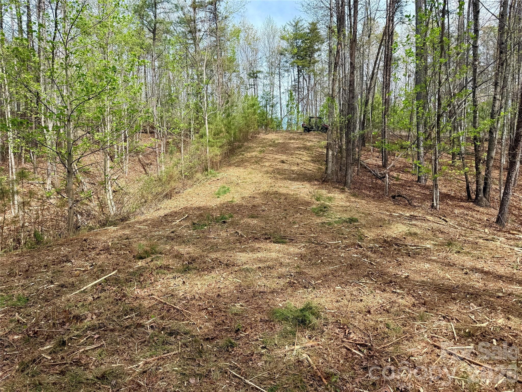 Lot at Nebo, photo 10 of 28