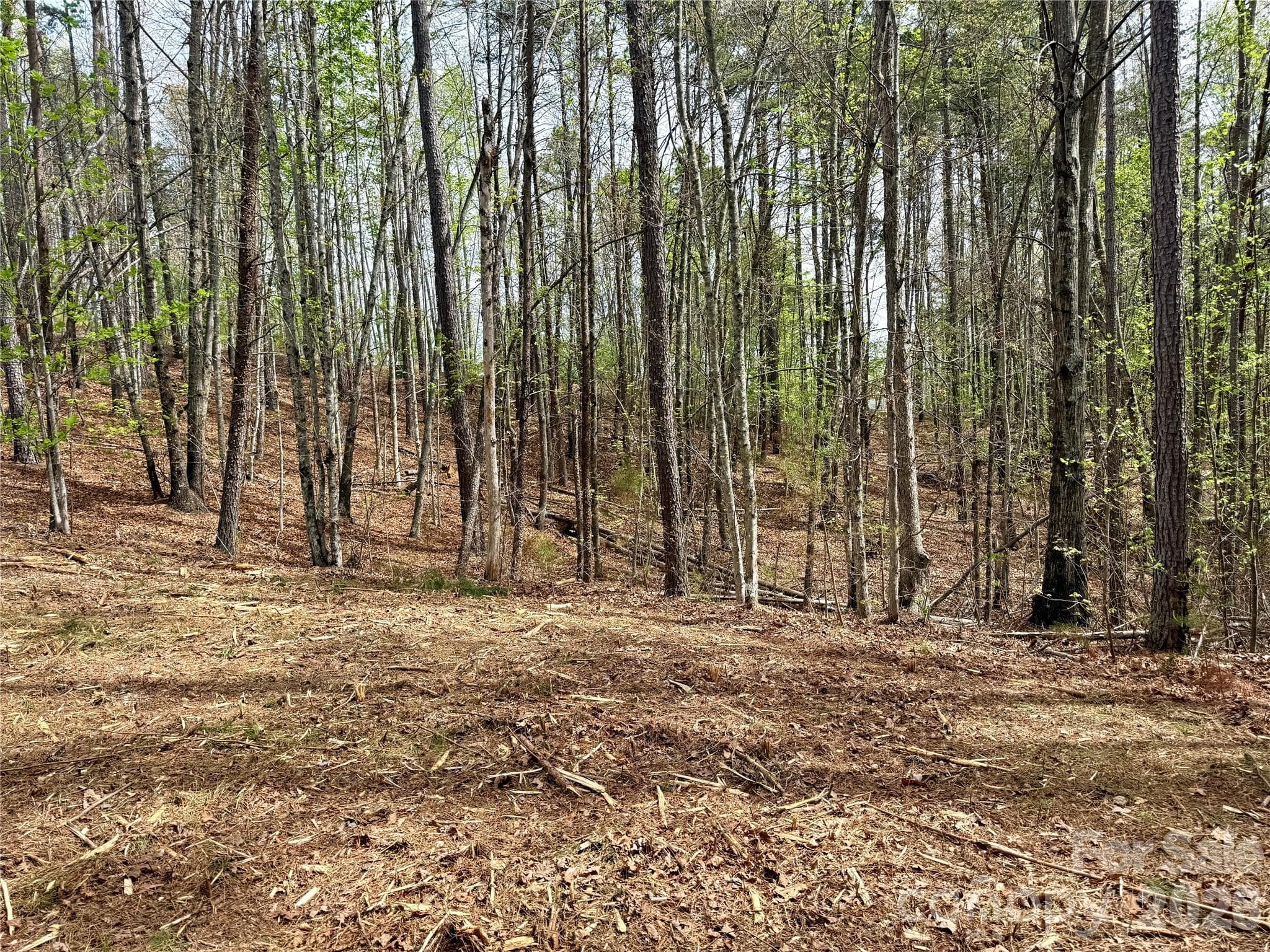 Lot at Nebo, photo 11 of 28