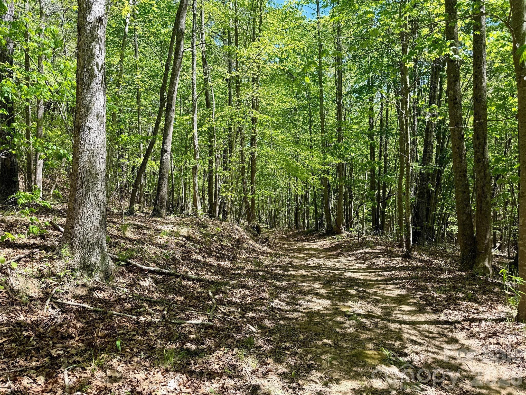 Lot borders community hiking trails for easy access - Nebo