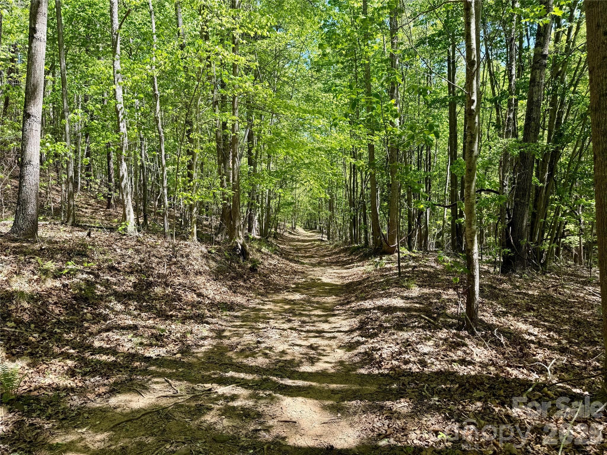 Lot at Nebo, photo 13 of 28