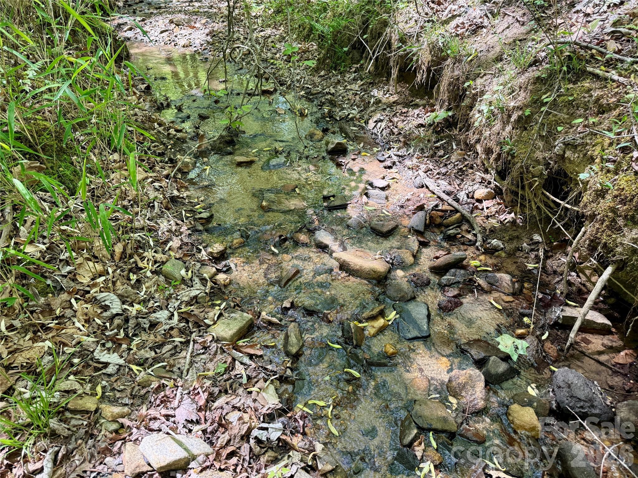 Small creek at back of property - Nebo