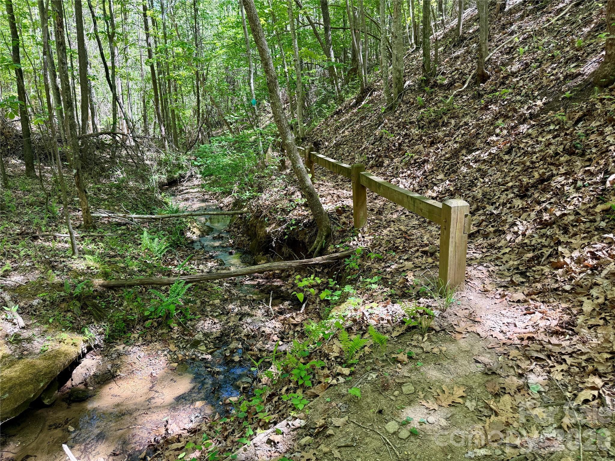 Community Hiking Trails - Nebo