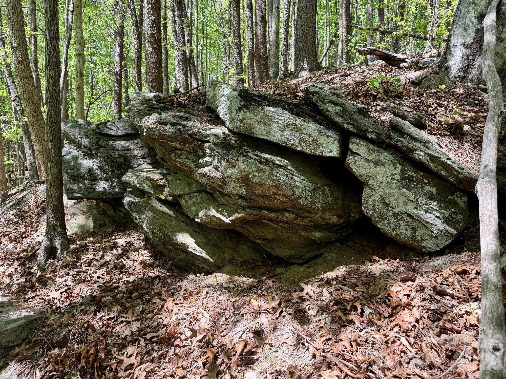 Rock Outcropping just below building site - Nebo