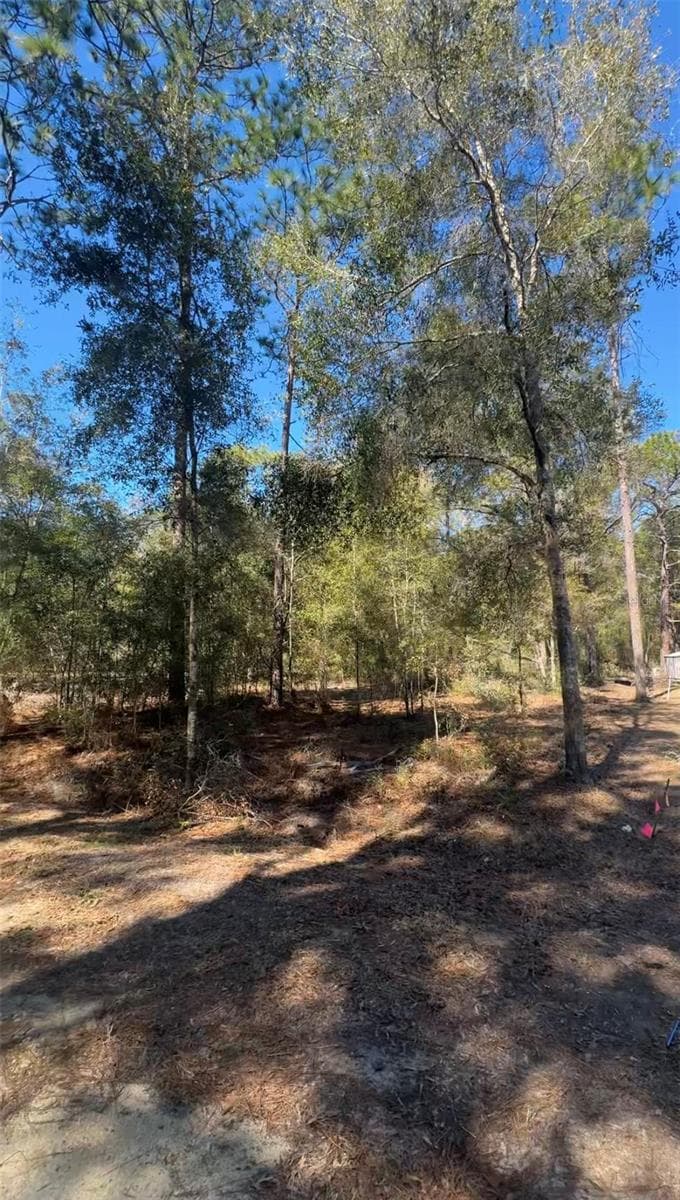 Land at TBD SW 22ND PL, OCALA, photo 2 of 3