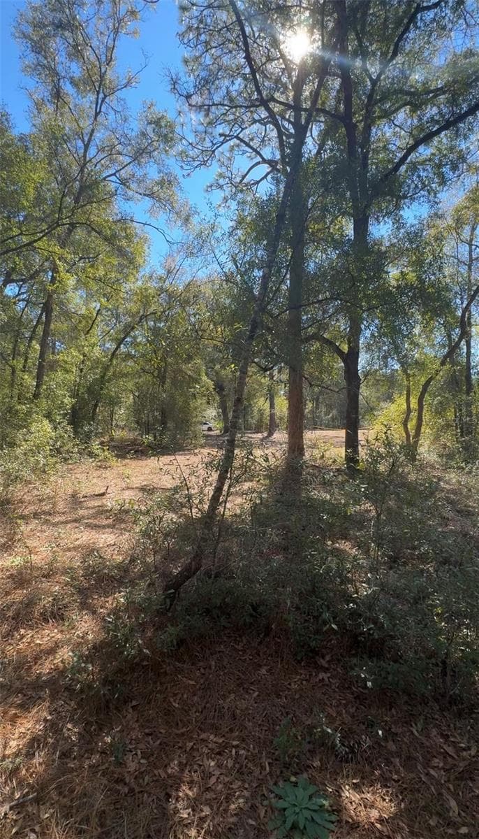 Land at TBD SW 22ND PL, OCALA, photo 3 of 3