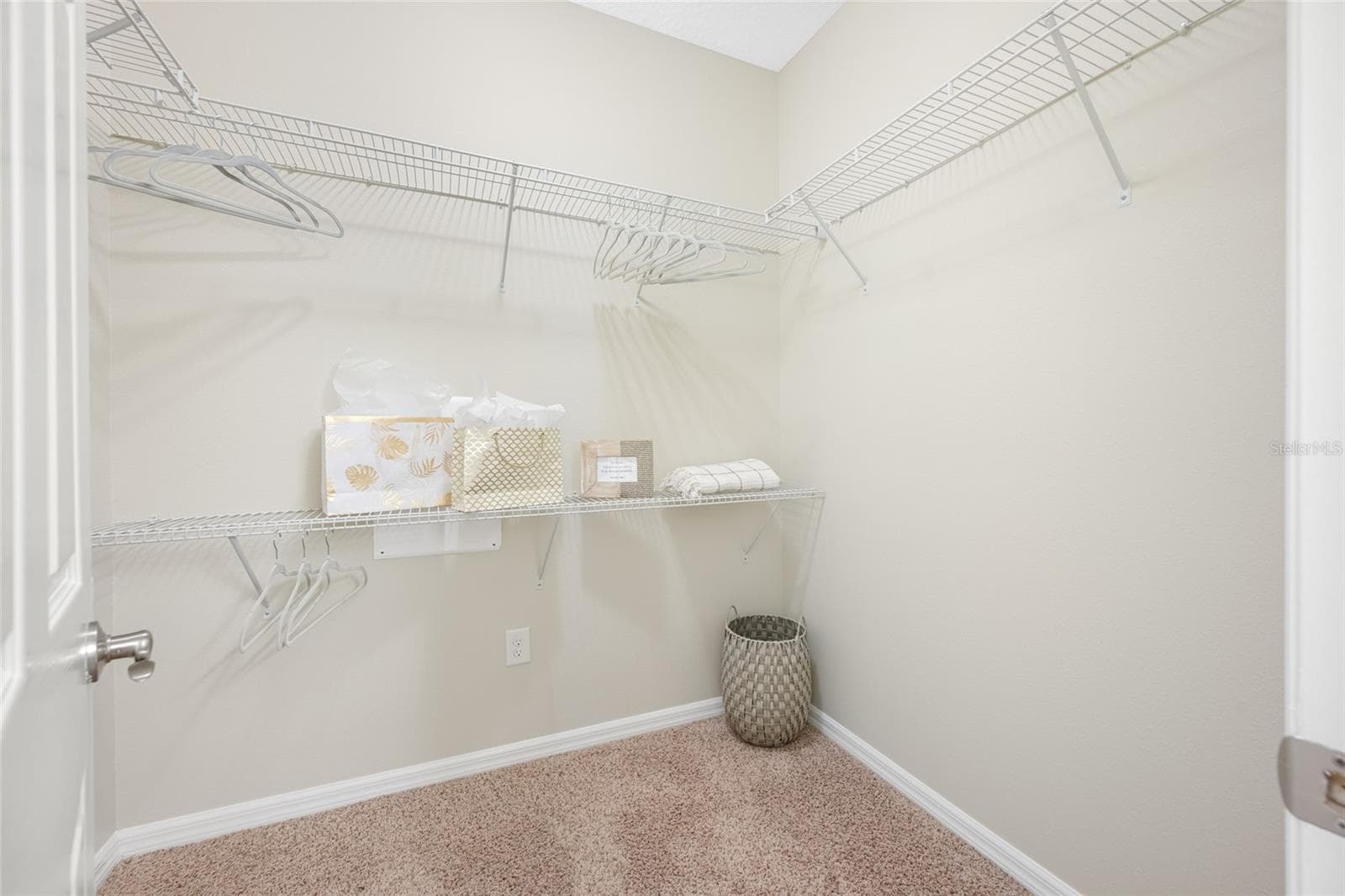 Primary Bedroom Walk-in Closet! - 2527 SILVERBACK CT, PALM HARBOR