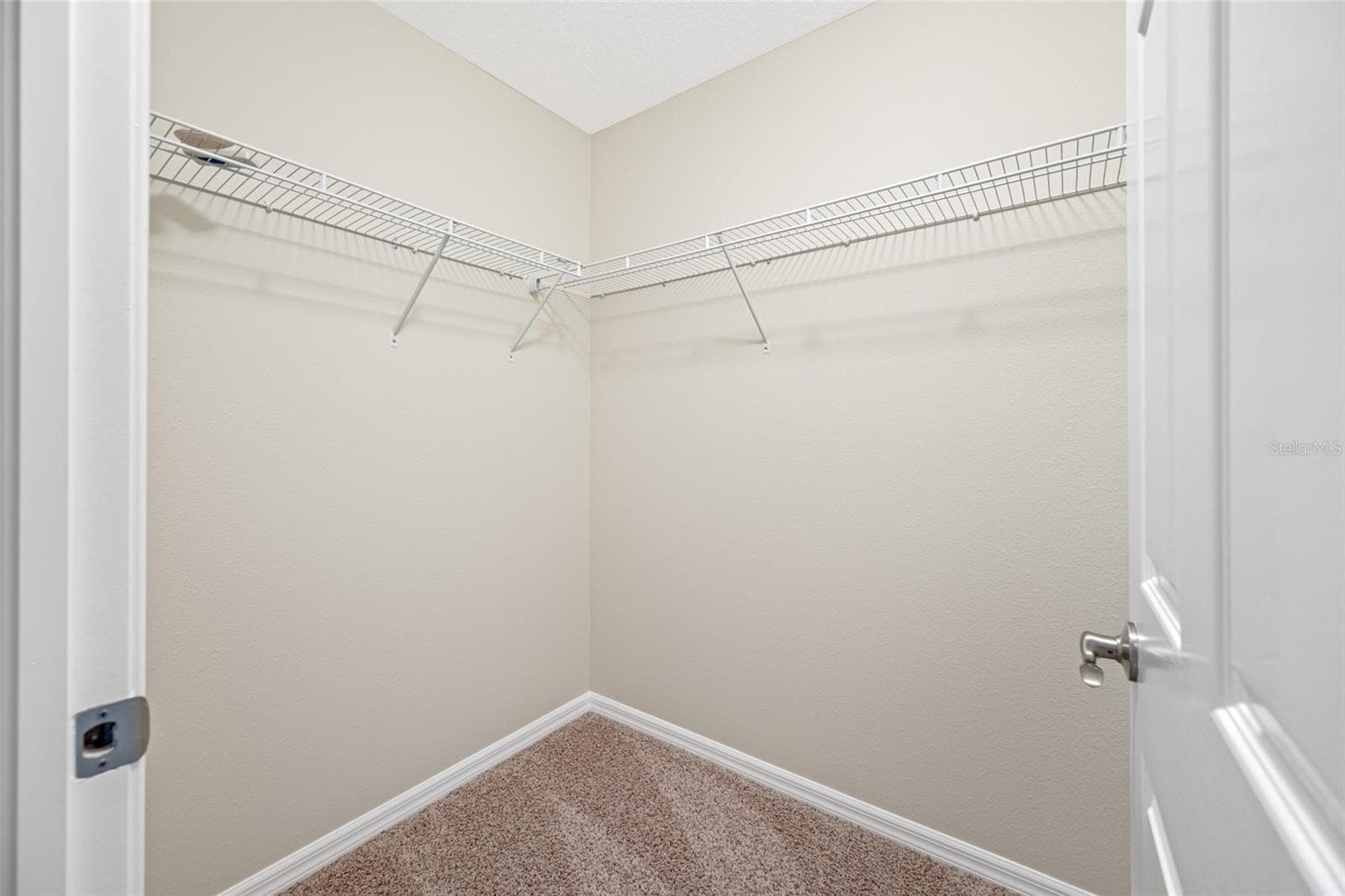 Walk-in Closet - Bedroom #4! - 2527 SILVERBACK CT, PALM HARBOR