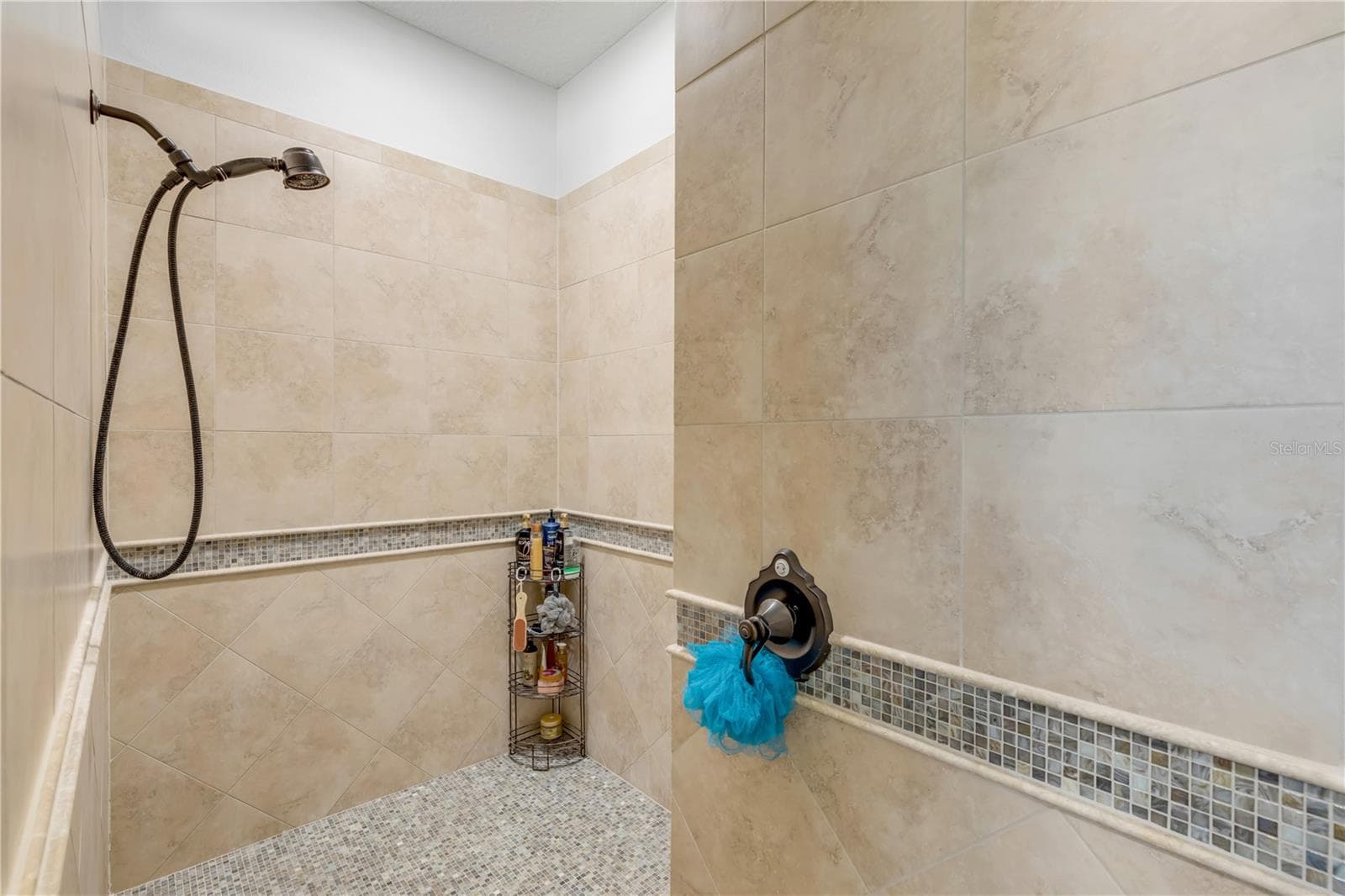 Single Family Residence at 3029 ISOLA BELLA BLVD, MOUNT DORA, photo 43 of 88