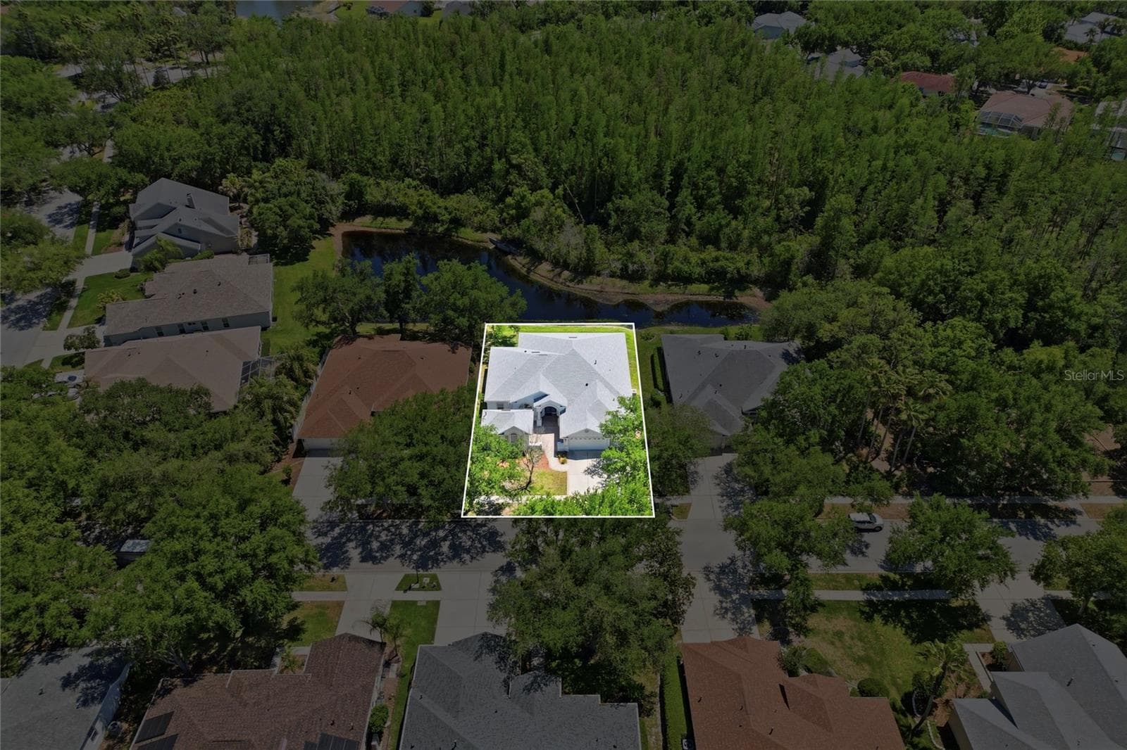 Single Family Residence at 10206 SHADOW BRANCH DR, TAMPA, photo 4 of 88