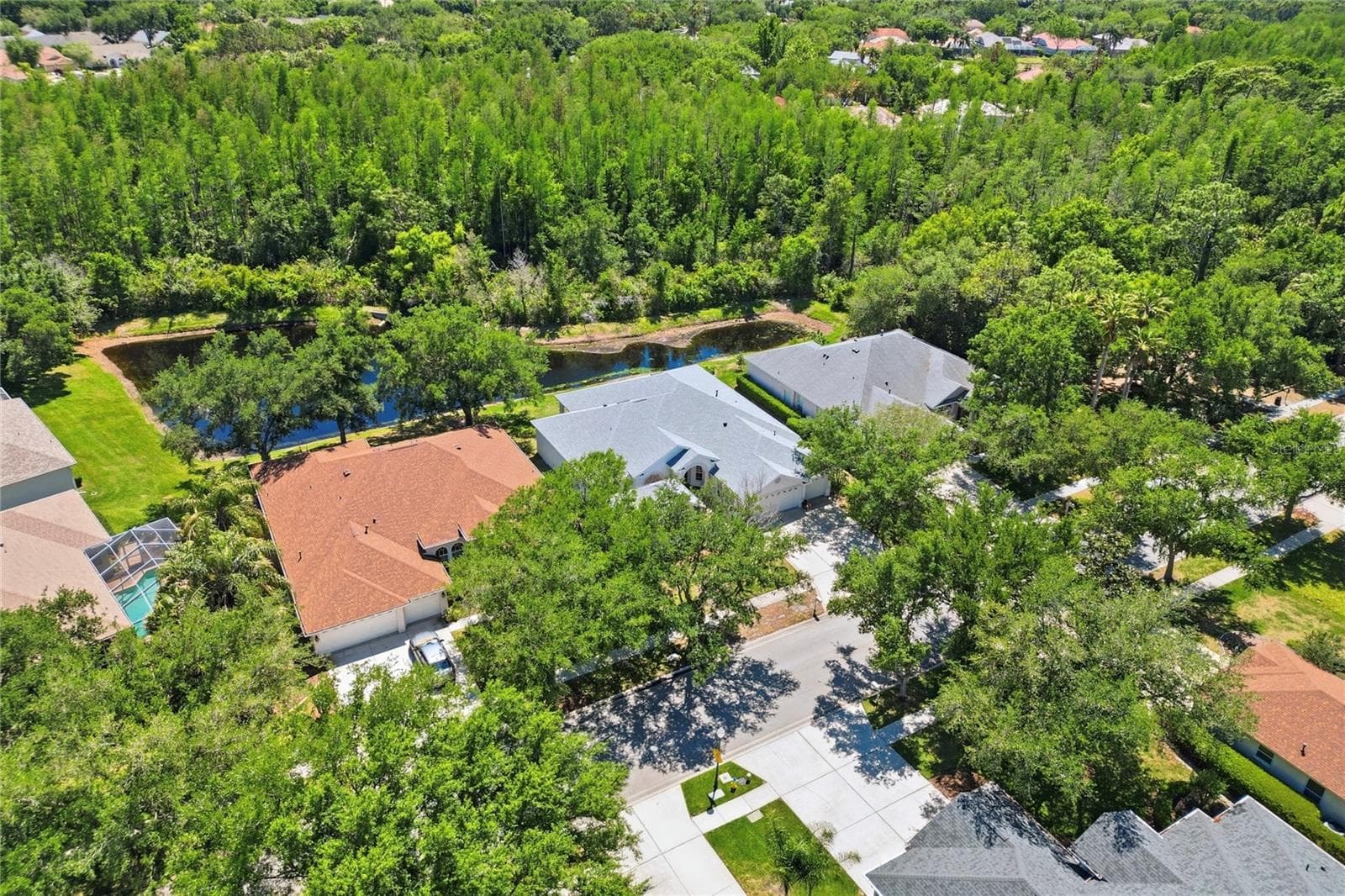 Single Family Residence at 10206 SHADOW BRANCH DR, TAMPA, photo 5 of 88