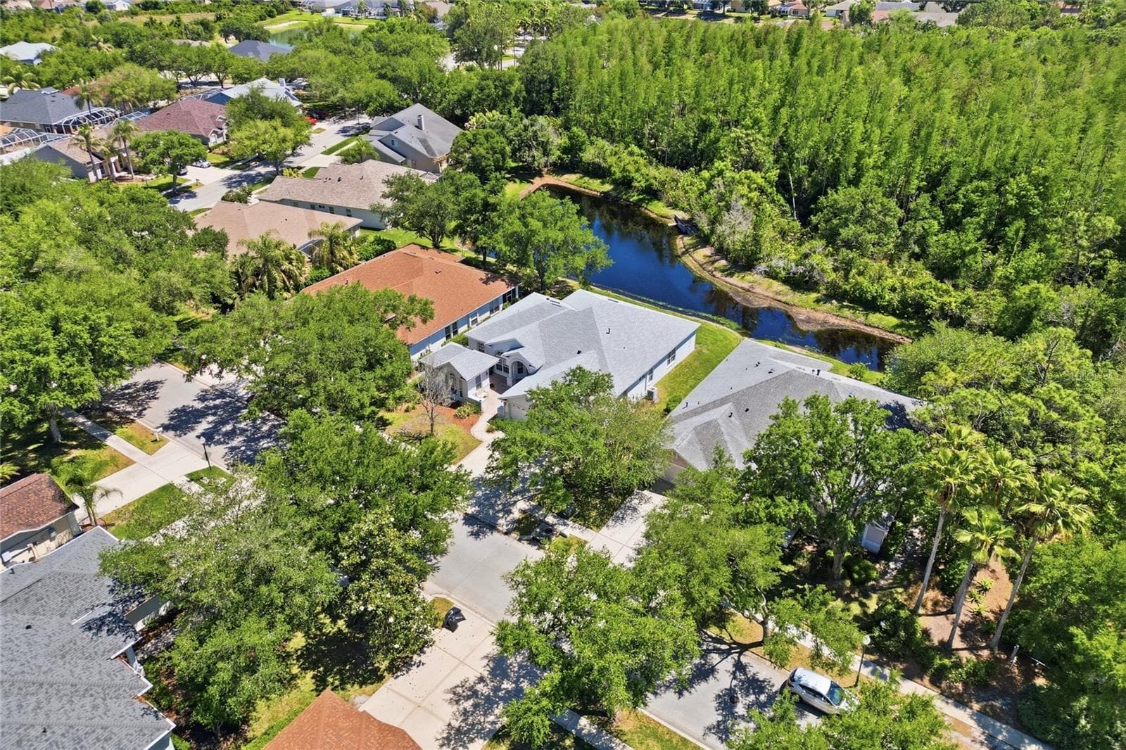 Single Family Residence at 10206 SHADOW BRANCH DR, TAMPA, photo 6 of 88