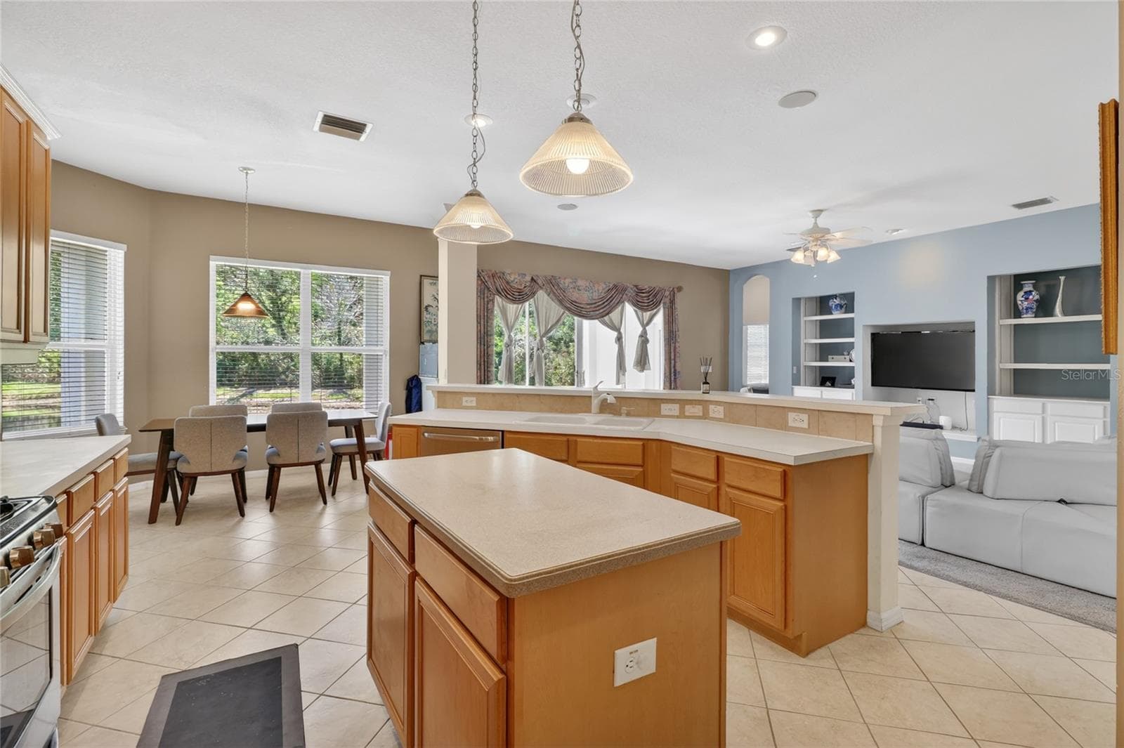 Single Family Residence at 10206 SHADOW BRANCH DR, TAMPA, photo 31 of 88